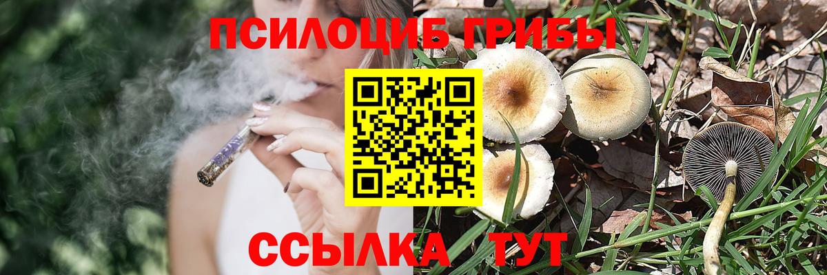 Псилоцибиновые грибы MAGIC MUSHROOMS  Вход с VPN  Кольчугино 